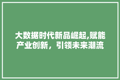 大数据时代新品崛起,赋能产业创新，引领未来潮流