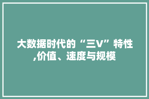 大数据时代的“三V”特性,价值、速度与规模