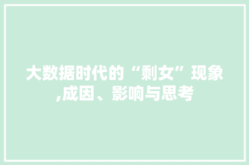 大数据时代的“剩女”现象,成因、影响与思考