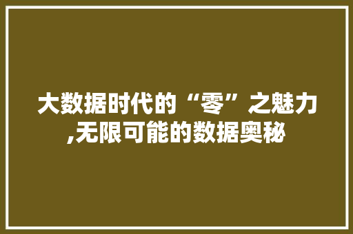 大数据时代的“零”之魅力,无限可能的数据奥秘