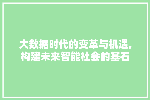 大数据时代的变革与机遇,构建未来智能社会的基石