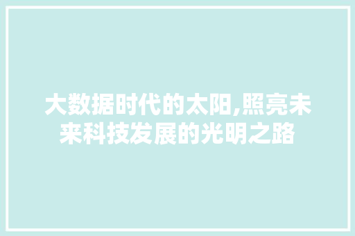 大数据时代的太阳,照亮未来科技发展的光明之路