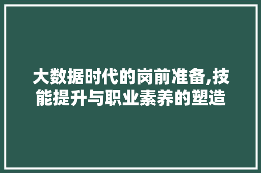 大数据时代的岗前准备,技能提升与职业素养的塑造
