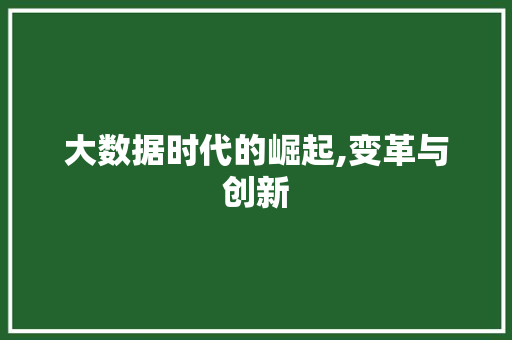 大数据时代的崛起,变革与创新