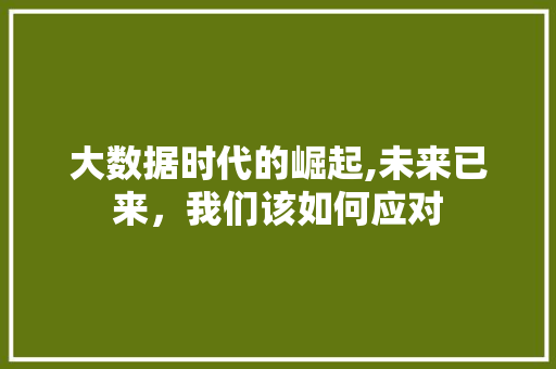 大数据时代的崛起,未来已来，我们该如何应对