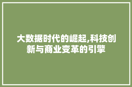 大数据时代的崛起,科技创新与商业变革的引擎