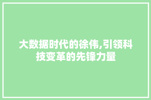 大数据时代的徐伟,引领科技变革的先锋力量