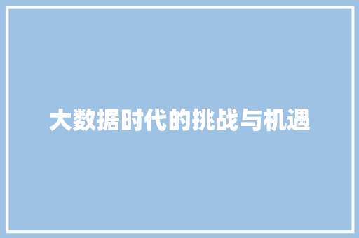 大数据时代的挑战与机遇