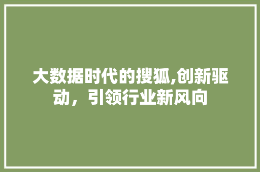 大数据时代的搜狐,创新驱动，引领行业新风向