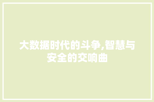 大数据时代的斗争,智慧与安全的交响曲