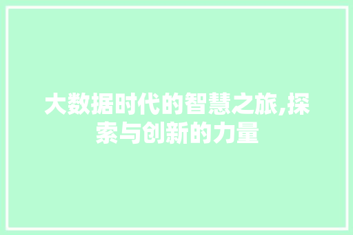 大数据时代的智慧之旅,探索与创新的力量