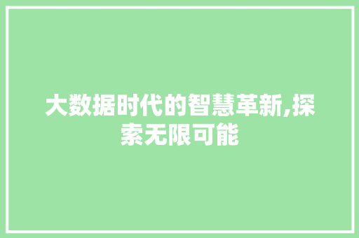 大数据时代的智慧革新,探索无限可能