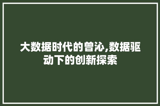 大数据时代的曾沁,数据驱动下的创新探索