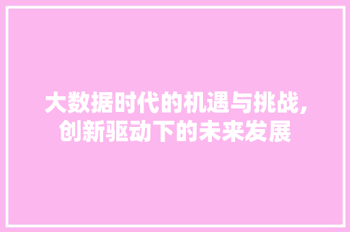 大数据时代的机遇与挑战,创新驱动下的未来发展