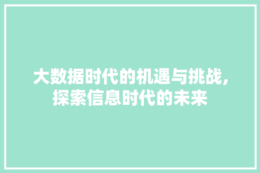 大数据时代的机遇与挑战,探索信息时代的未来