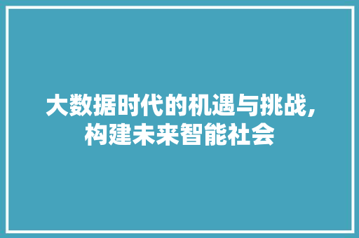 大数据时代的机遇与挑战,构建未来智能社会
