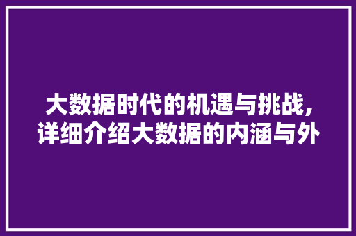 大数据时代的机遇与挑战,详细介绍大数据的内涵与外延