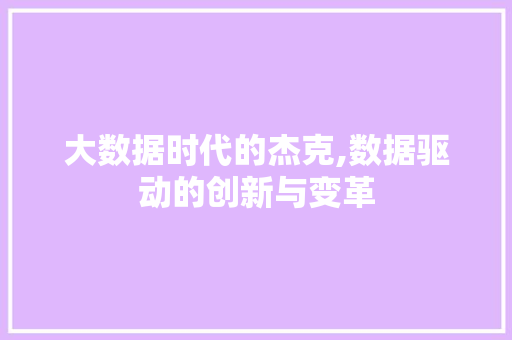 大数据时代的杰克,数据驱动的创新与变革