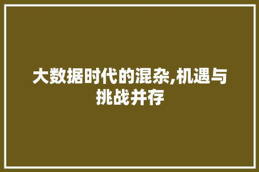 大数据时代的混杂,机遇与挑战并存