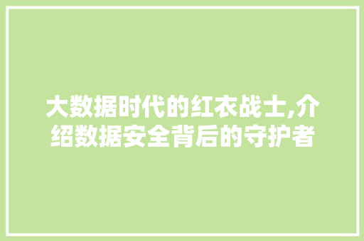 大数据时代的红衣战士,介绍数据安全背后的守护者