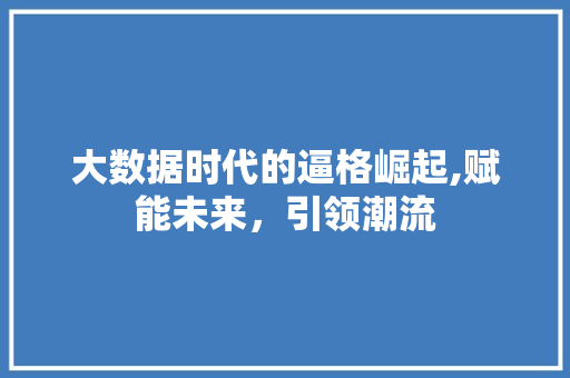 大数据时代的逼格崛起,赋能未来，引领潮流