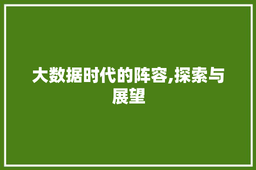 大数据时代的阵容,探索与展望