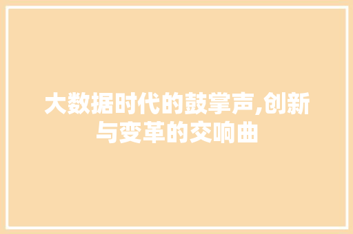 大数据时代的鼓掌声,创新与变革的交响曲