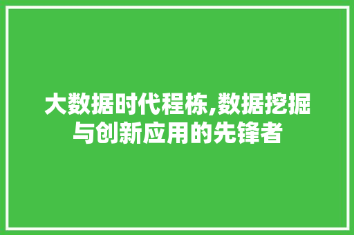 大数据时代程栋,数据挖掘与创新应用的先锋者