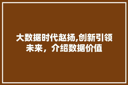 大数据时代赵扬,创新引领未来，介绍数据价值