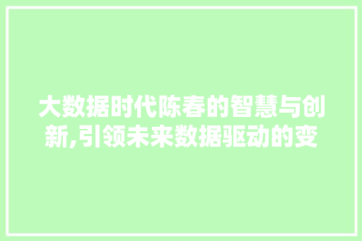大数据时代陈春的智慧与创新,引领未来数据驱动的变革