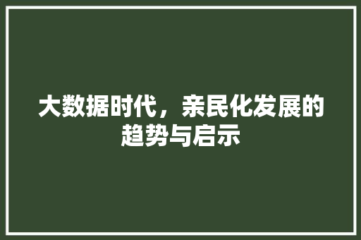 大数据时代，亲民化发展的趋势与启示