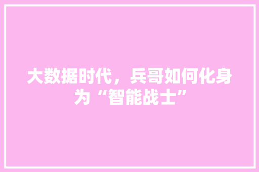 大数据时代，兵哥如何化身为“智能战士”