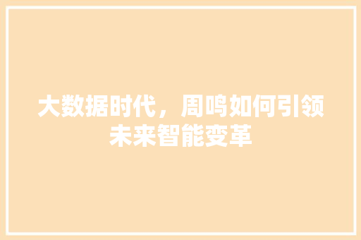 大数据时代，周鸣如何引领未来智能变革