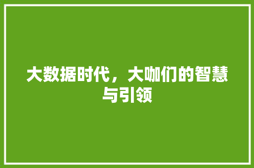 大数据时代，大咖们的智慧与引领