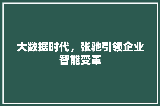 大数据时代，张驰引领企业智能变革