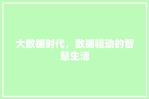 大数据时代，数据驱动的智慧生活