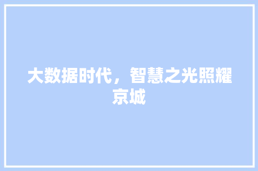 大数据时代，智慧之光照耀京城