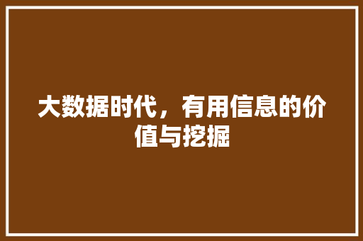 大数据时代，有用信息的价值与挖掘