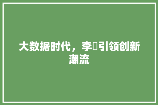 大数据时代，李玥引领创新潮流