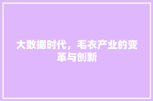 大数据时代，毛衣产业的变革与创新