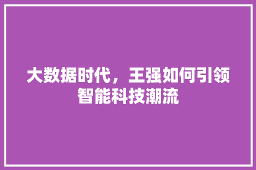 大数据时代，王强如何引领智能科技潮流