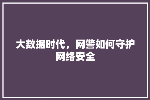 大数据时代，网警如何守护网络安全