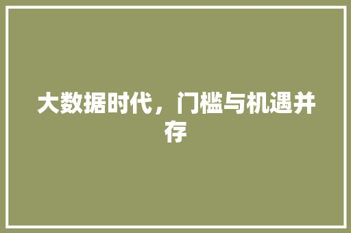 大数据时代，门槛与机遇并存