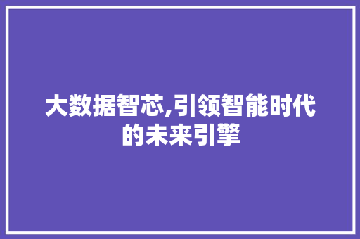 大数据智芯,引领智能时代的未来引擎