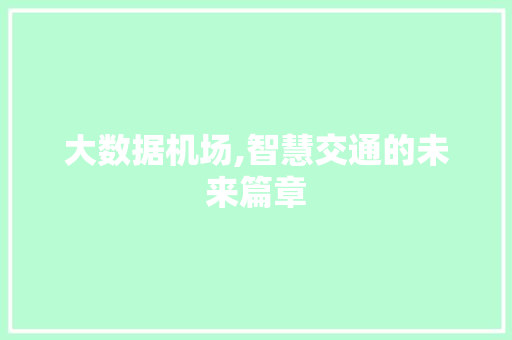 大数据机场,智慧交通的未来篇章