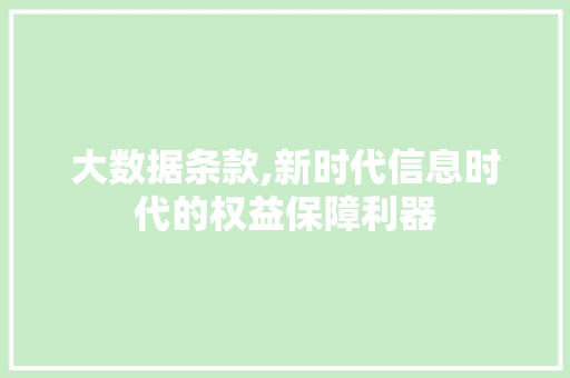 大数据条款,新时代信息时代的权益保障利器