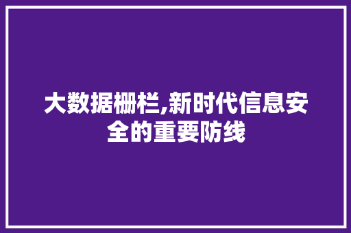 大数据栅栏,新时代信息安全的重要防线