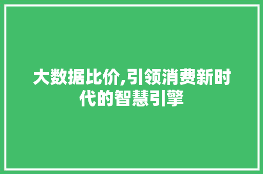 大数据比价,引领消费新时代的智慧引擎