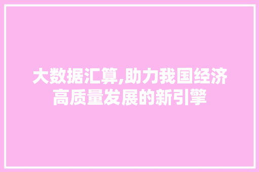 大数据汇算,助力我国经济高质量发展的新引擎