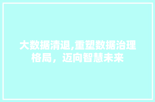 大数据清退,重塑数据治理格局，迈向智慧未来